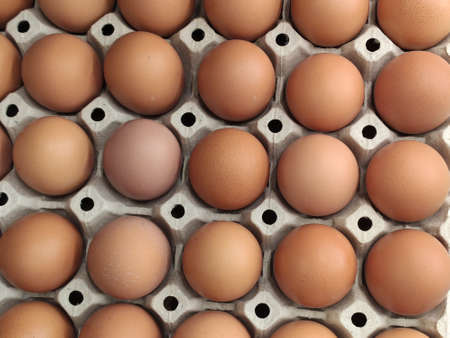 Fresh eggs sold on the street market stallの写真素材