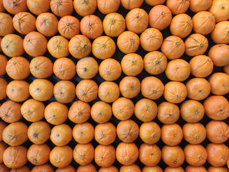 Orange fruit for Background Textureの写真素材