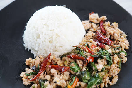 Stir Fried Basil on Riceの写真素材