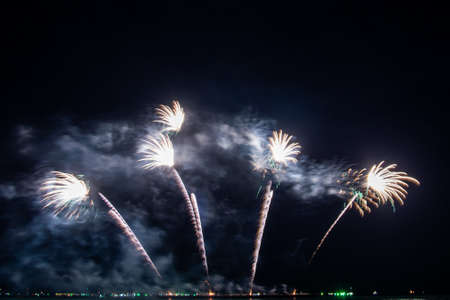 colorful fireworks,Beautiful multi color fireworks explosions lighting sky over trees silhouette and...