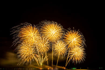 colorful fireworks,Beautiful multi color fireworks explosions lighting sky over trees silhouette and over an illuminated,celebration conceptの写真素材