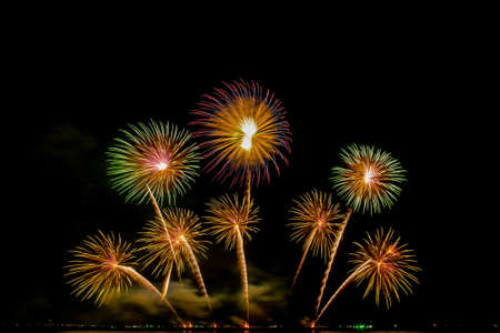 colorful fireworks,Beautiful multi color fireworks explosions lighting sky over trees silhouette and over an illuminated,celebration conceptの写真素材