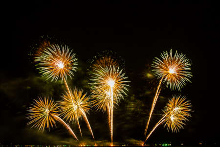 colorful fireworks,Beautiful multi color fireworks explosions lighting sky over trees silhouette and...