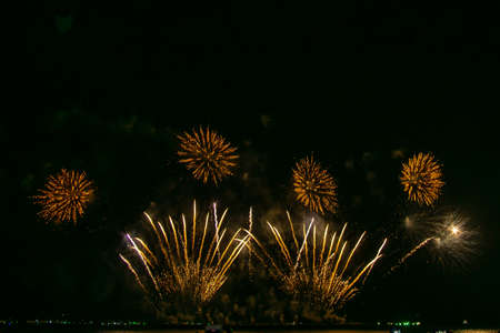 Beautiful multi color fireworks explosions lighting sky over trees silhouette and over an illuminated,colorful fireworks celebration conceptの写真素材