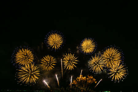 Beautiful multi color fireworks explosions lighting sky over trees silhouette and over an...