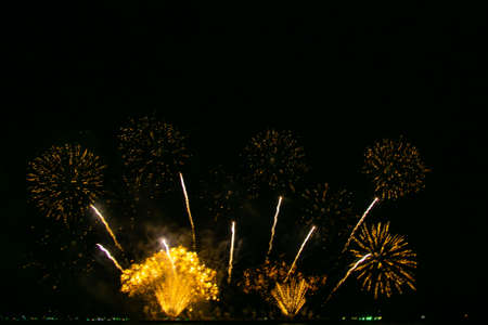 Beautiful multi color fireworks explosions lighting sky over trees silhouette and over an illuminated,colorful fireworks celebration conceptの写真素材