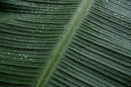 oil in plastic bottle isolated on white backgroundの写真素材
