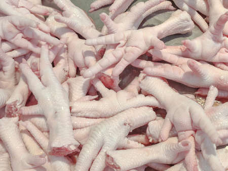 Fresh chicken foot in the markets,chicken feet is raw food.の写真素材
