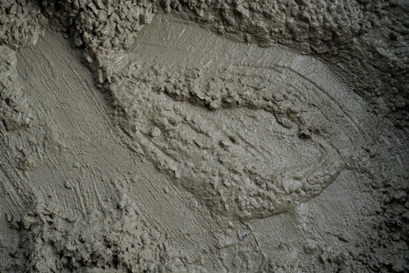 High-Resolution Texture of Freshly Poured Wet Concrete Surface Close-Up: Ideal for Backgrounds,...