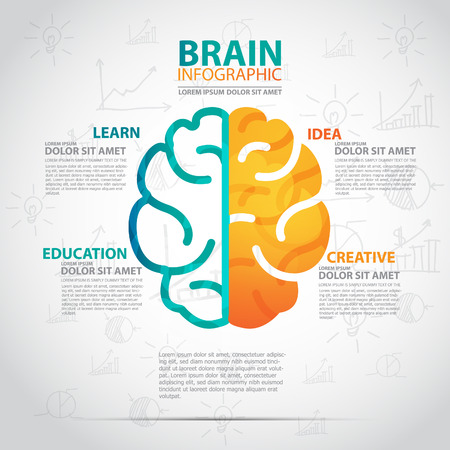 infographics vector brain designのイラスト素材