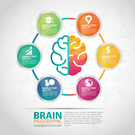 infographics vector brain designのイラスト素材