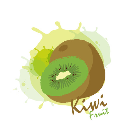 kiwi fruitsのイラスト素材