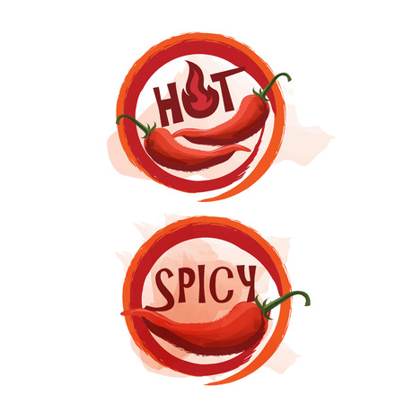 Spicy vectorのイラスト素材
