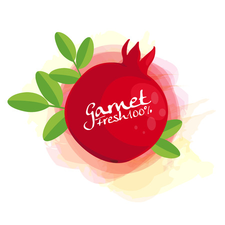 pomegranateのイラスト素材