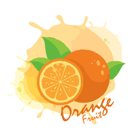 Orange fruitsのイラスト素材