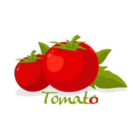 tomato vectorのイラスト素材