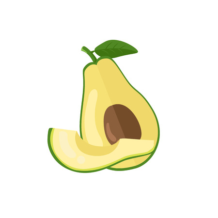avocado vector illustrationのイラスト素材