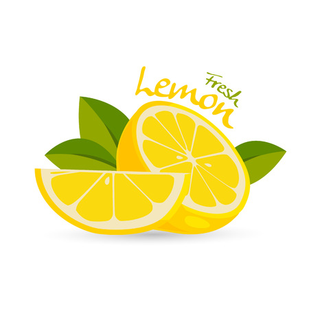 fresh lemonのイラスト素材