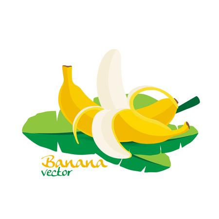 Banana illustrationのイラスト素材
