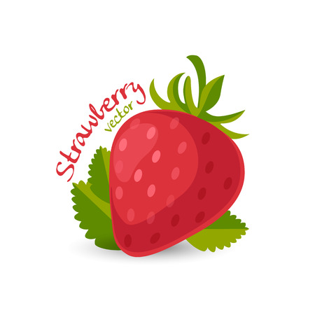 strawberryのイラスト素材