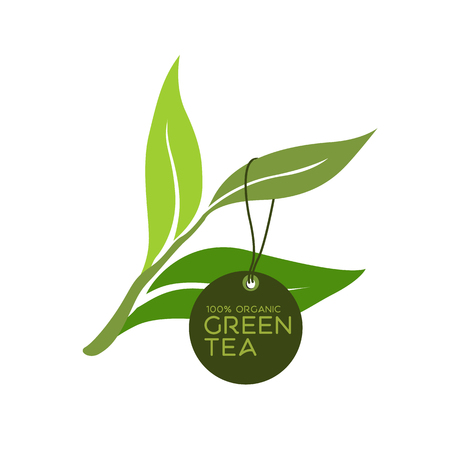 green tea vectorのイラスト素材