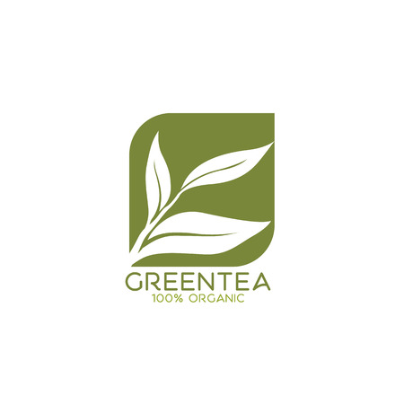 green tea vectorのイラスト素材
