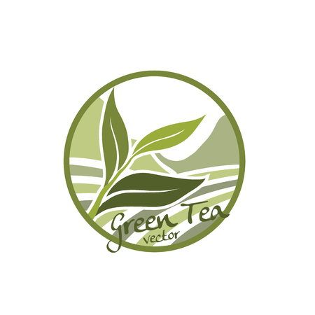 green tea vectorのイラスト素材