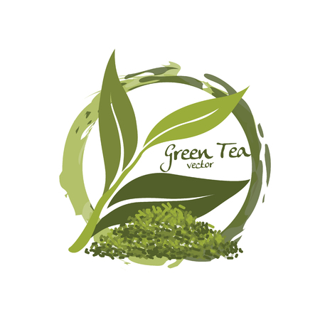 green tea vectorのイラスト素材