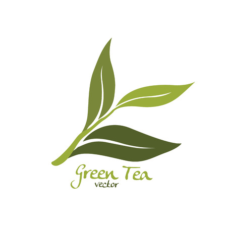green tea vectorのイラスト素材