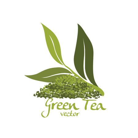 green tea vectorのイラスト素材