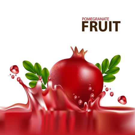 fresh pomegranate fruitのイラスト素材