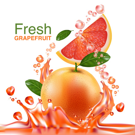 fresh grapefruit vectorのイラスト素材