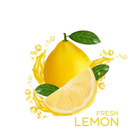 Fresh lemon fruit vectorのイラスト素材