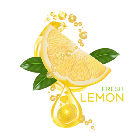 fresh lemon fruit vectorのイラスト素材