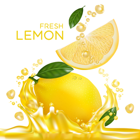 fresh lemon fruit vectorのイラスト素材