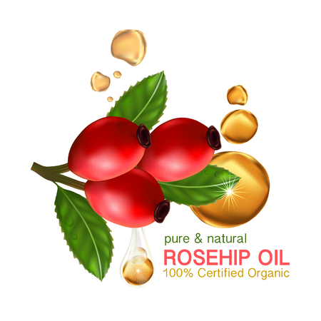 Rose hip oil natural cosmetic skin careのイラスト素材