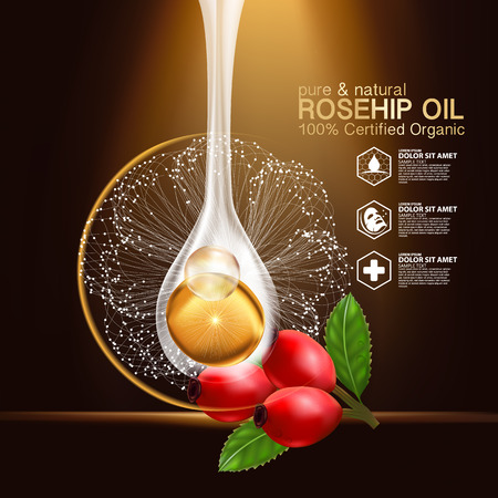 Rose hip oil natural cosmetic skin careのイラスト素材