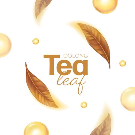 Oolong  Tea Drink Packaging Mockup. Realistic green tea leaves background for advertising poster. Vector illustrationのイラスト素材