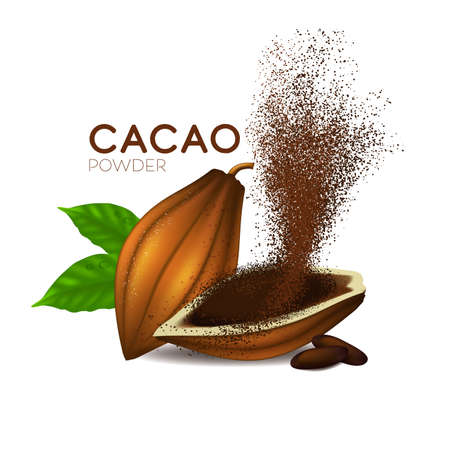 realistic cacao beans with green leaves vector illustrationのイラスト素材