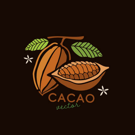 realistic cacao beans with green leaves vector illustrationのイラスト素材