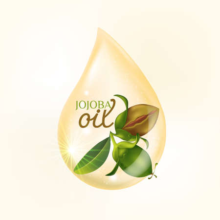 Jojoba natural skin care cosmetic Vector illustrationのイラスト素材
