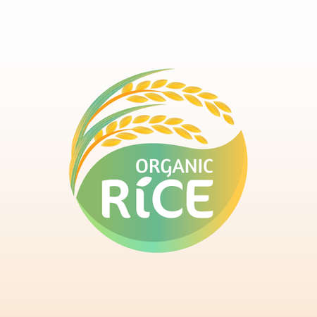 paddy rice premium organic natural product banner logo vector designのイラスト素材