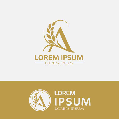 concept of  letter A, logo design  rice farm brandingのイラスト素材