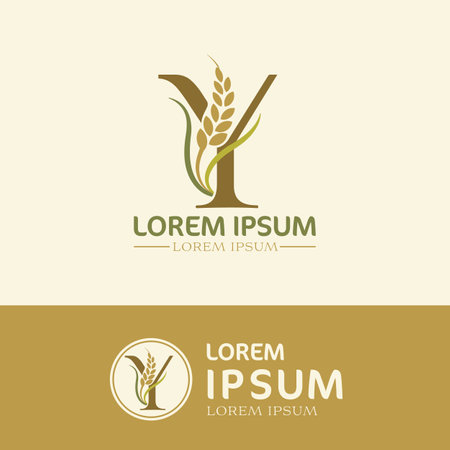 concept of  letter Y, logo design  rice farm brandingのイラスト素材