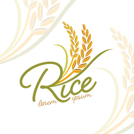 rice design over white  background vector illustration eps10 graphic designのイラスト素材