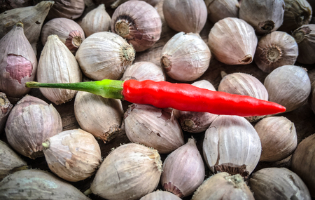 Fresh red hot chilli on garlics backgroundの写真素材