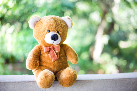 Bear doll with green nature backgroundの写真素材