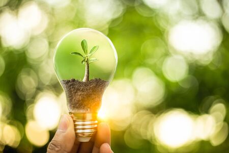 Hand holding a light bulb with growth of tree inside. Creative ideas for earth day or protection of...