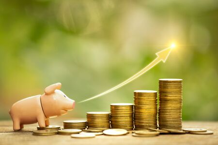 Growing up ideas or save money concept. Business management to success. Investment chart. Piggy bank create.の写真素材