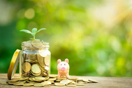 A growing coins or save money concept. Investment success. Economic growth. Plant growing in saving coins.  Business management.の写真素材